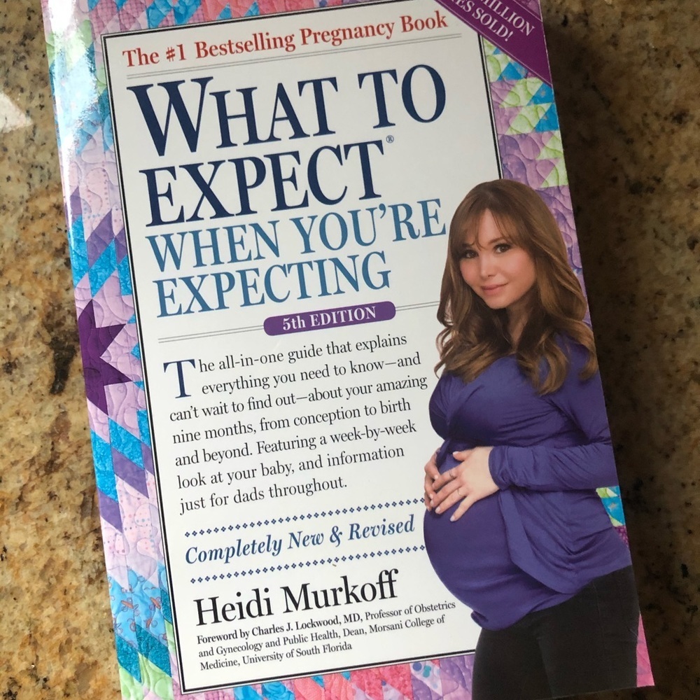 🍁 BUNDLE ONLY - 5/$15  Pregnancy Book: What to Expect When You’re Expecting
